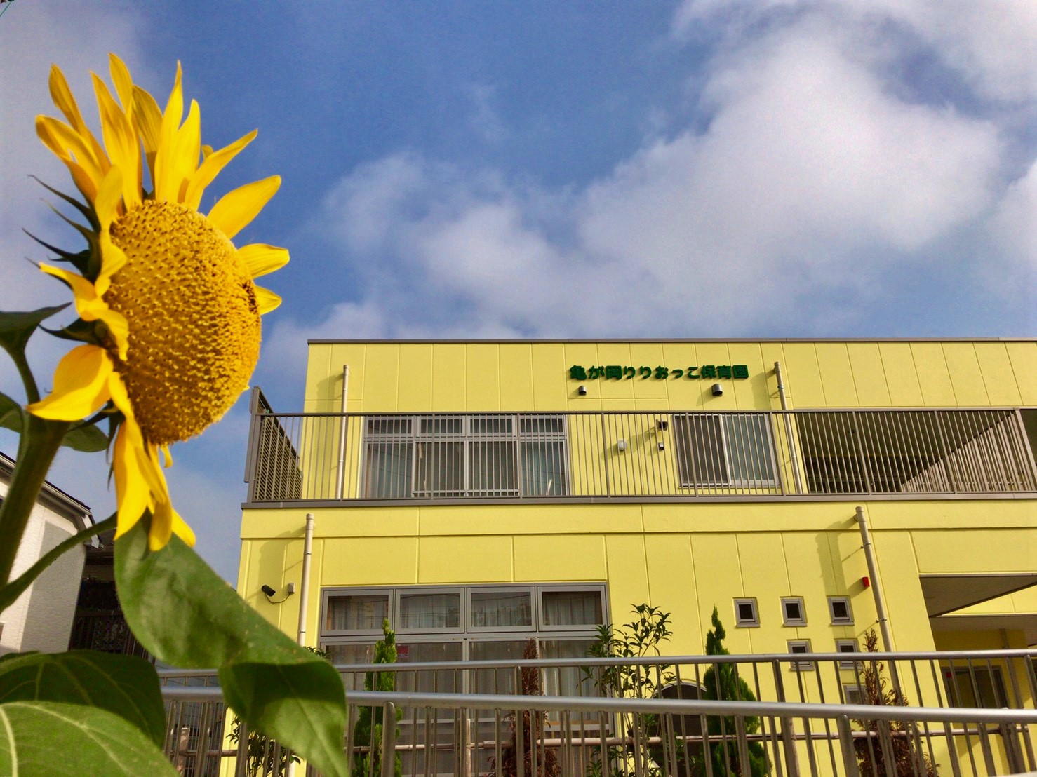 社会福祉法人東中川会 亀が岡りりおっこ保育園 葛飾区保育園連盟 社会福祉法人東中川会 亀が岡りりおっこ保育園 葛飾区保育園連盟